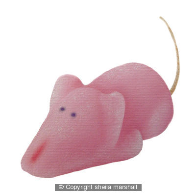 Sugar Mouse ( side)
