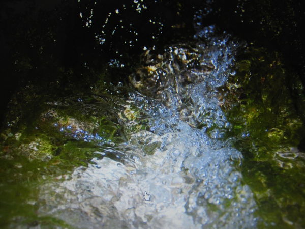 Ripples Ripples