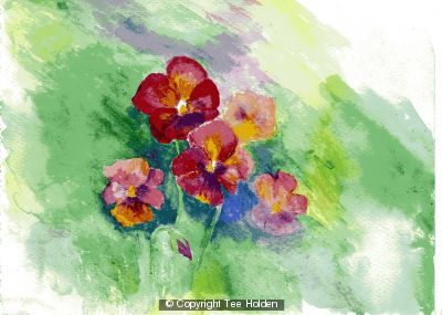 Pansies