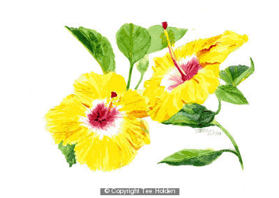 Yellow Flower
