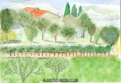 Tuscan Landscape
