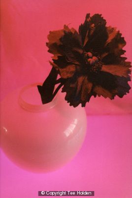 Black Flower