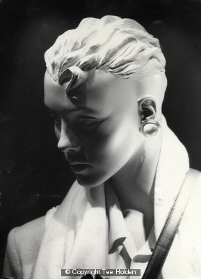 Manakin