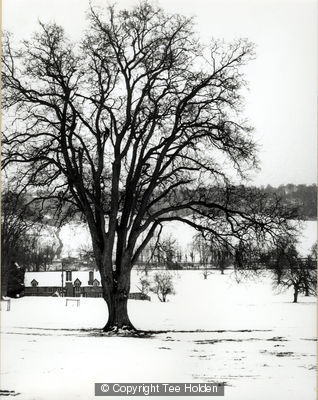 Snowy Landscape