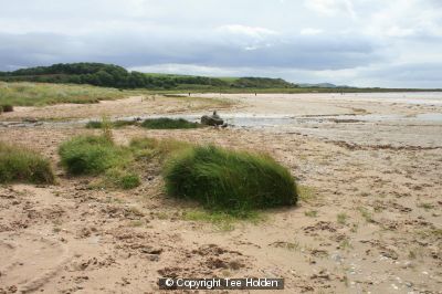 Beach on Bute