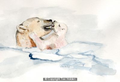 Polar Bears