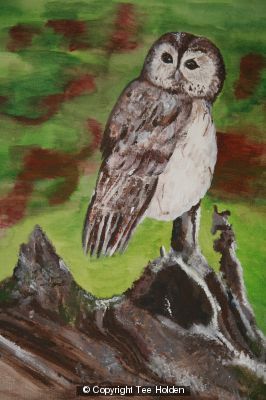 Olly The Owl