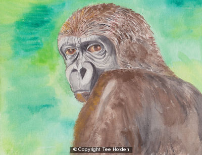 Monkey