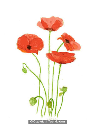 Poppy