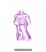 Womans Torso
