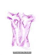 Mans Torso