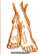 Feet