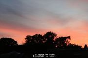 Sunset on Bircher Common