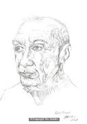 Picasso