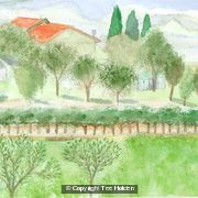 Tuscan Landscape