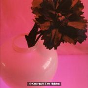 Black Flower