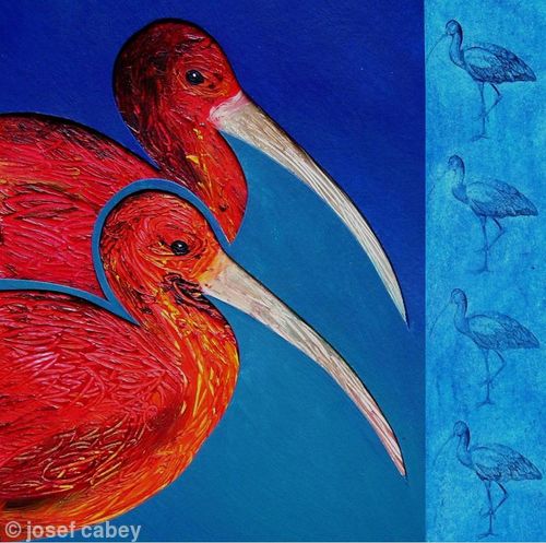 Scarlet Ibis: Animals of the Caribbean series
