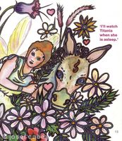Titania  and Donkey: Channel 4 book on Shakespeare