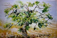 Fig Tree