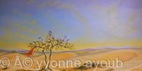 Saudi Desert Bedouin Tent