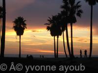 Venice Beach CA USA