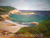 The Cornish Coast