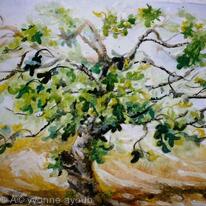 Fig Tree