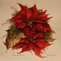 Poinsettias