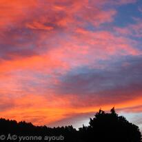 Dawn Breaks