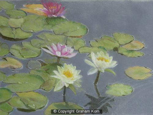 Waterlilies