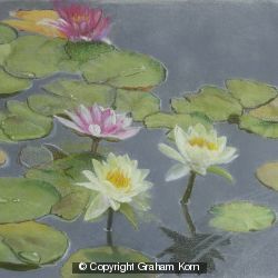 Waterlilies