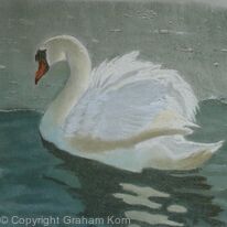 The Swan