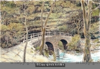 The Donkey Bridge New England Nr Highley Shropshire, greeting card