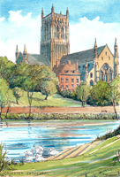 Worcester Cathedral with the River Severn,  Swans, greeting card