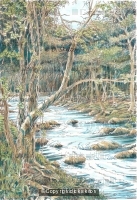 The River at nant Col Nr. Harlech N. Wales