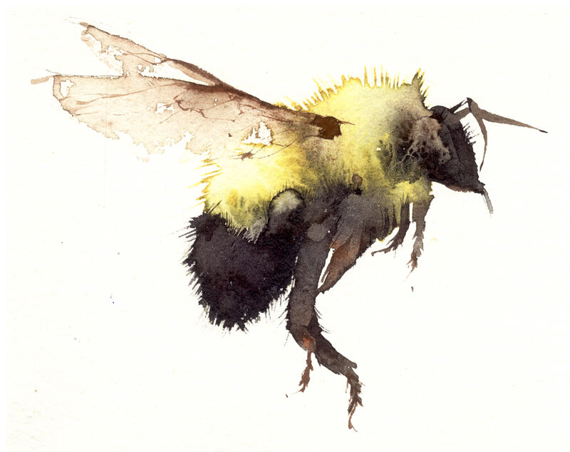 bumble KO11