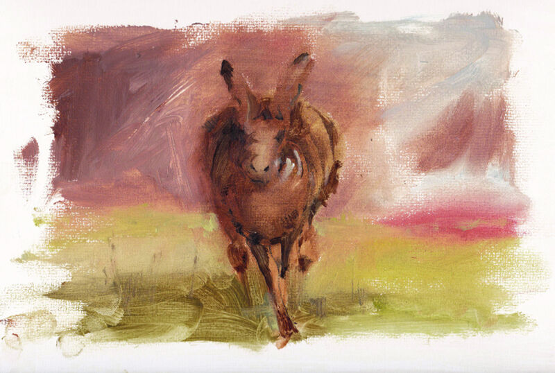 running-hare