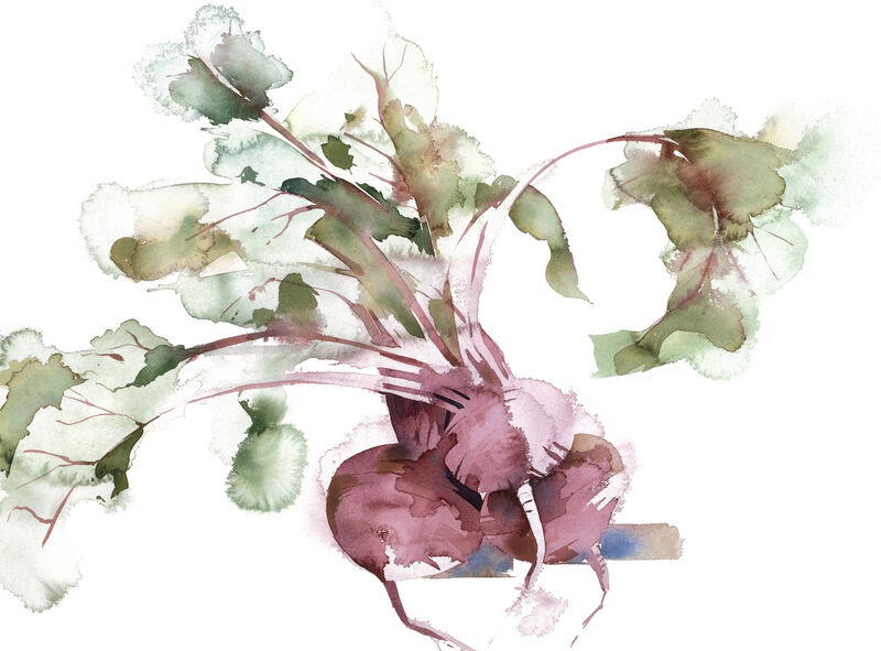 KO.95 beetroot