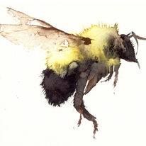 bumble KO11