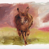 running-hare