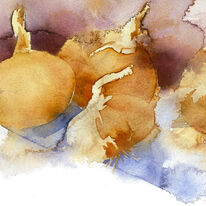 KO.94 spanish onions