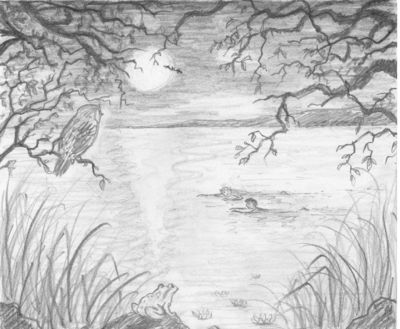 Night after night, when the lake was quiet