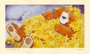 Warm, starry bed (from Gruff The Grump) signed and mounted