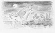 The prince is taken from the shore