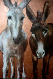 donkeys