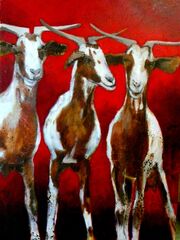 goats