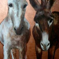 donkeys