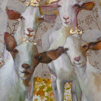 goats-white