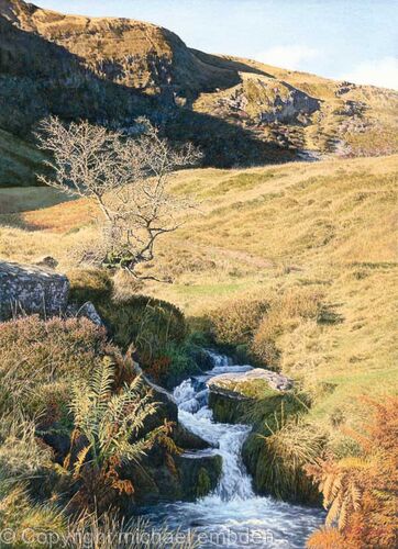 Mountain Spring
