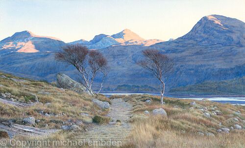 Evening Light
